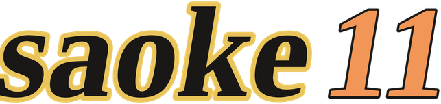 saoke11 logo